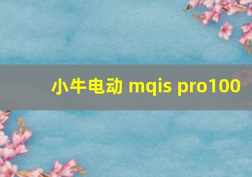 小牛电动 mqis pro100